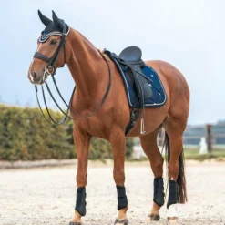 Back On Track - Bonnet pour cheval Night noir/ bleu noble