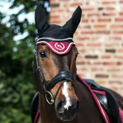 Back On Track - Bonnet pour cheval Night noir/ rouge