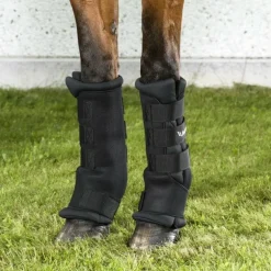 Back On Track - Guêtres d'écurie royales noir x2