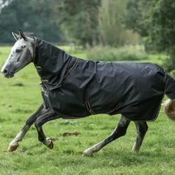 Bucas - Couverture d'extérieur Irish Turnout 250 noir/ gold 250g