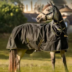 Bucas - Couverture d'extérieur Irish Turnout 100 noir/ gold 100g