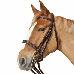 Canter - Bride Euro avec rênes marron (2 paires)