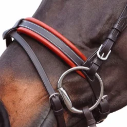 Canter - Bridon Alme têtière anatomique marron