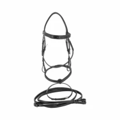 Canter - Bridon muserolle combinée black strass noir avec rênes