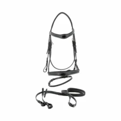 Canter - Bridon Ornella avec rênes noir