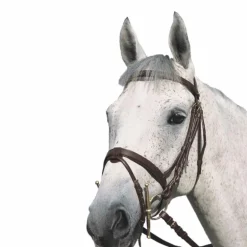 Canter - Bridon Plat doublé avec rênes marron