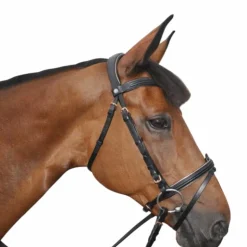 Canter - Bridon rose gold avec rênes noir