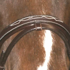 Canter - Bridon Surpiqué combiné avec rênes marron