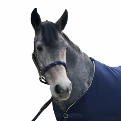 Canter - Licol cheval corde marron/ marine