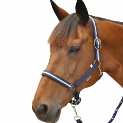 Canter - Licol et longe nylon marine/ argent