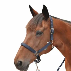 Canter - Licol nylon doublé marine