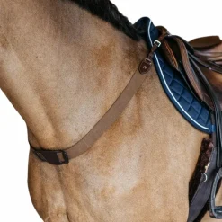 Dyon - Bricole élastique New English Collection marron