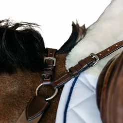 Dyon - Bricole élastique New English Collection marron