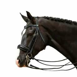 Dyon - Bride muserolle large vernie Working by Dyon noir