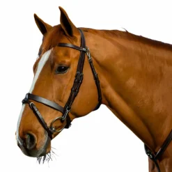 Dyon - Bridon cuir plat avec mousquetons Working by Dyon havane