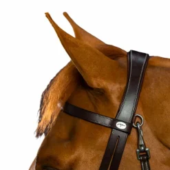 Dyon - Bridon cuir plat avec mousquetons Working by Dyon havane