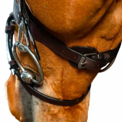 Dyon - Bridon cuir plat avec mousquetons Working by Dyon havane