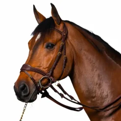 Dyon - Bridon D Motion D Collection têtière anatomique havane