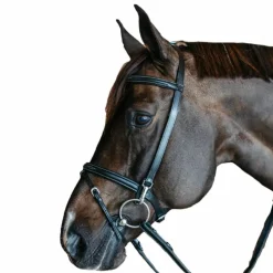 Dyon - Bridon de travail Working by Dyon cuir noir