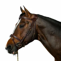 Dyon - Bridon Différence D Collection havane