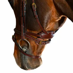 Dyon - Bridon Différence D Collection havane