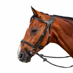 Dyon - Bridon Différence D Collection noir