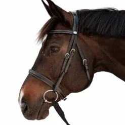 Dyon - Bridon Hunter noir