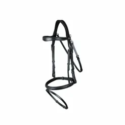 Dyon - Bridon muserolle combinée avec mousqueton Working by Dyon noir