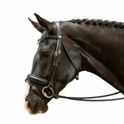 Dyon - Bridon muserolle combinée large Working by Dyon noir