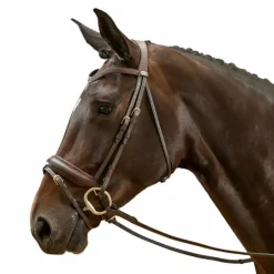 Dyon - Bridon muserolle combinée large Working by Dyon havane