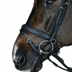 Dyon - Bridon muserolle combinée large new English tressé pull back cuir noir