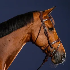 Dyon - Bridon muserolle combinée anatomique New English Collection havane