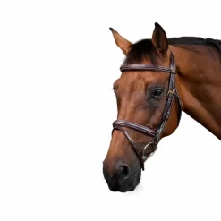 Dyon - Bridon muserolle combinée Dy'on Collection marron