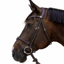 Dyon - Bridon muserolle combinée Flash marron
