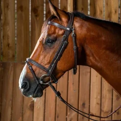 Dyon - Bridon muserolle combinée avec mousqueton Working by Dyon havane