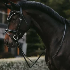 Dyon - Bridon muserolle combinée large vernie Working By Dyon noir