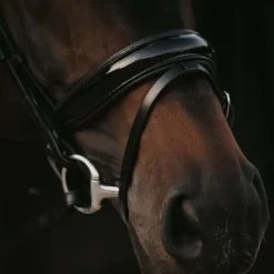 Dyon - Bridon muserolle combinée large vernie Working By Dyon noir