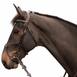 Dyon - Bridon muserolle hybride D Collection havane