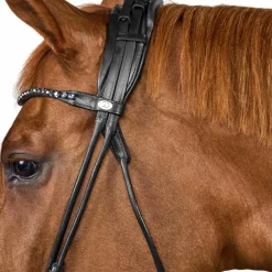 Dyon - Bridon muserolle large Round avec frontal à cristaux noir