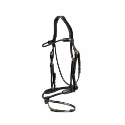 Dyon - Bridon muserolle tressée sous-barbe amovible cuir noir