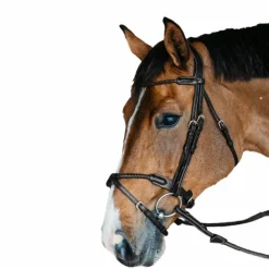 Dyon - Bridon muserolle tressée sous-barbe amovible cuir noir