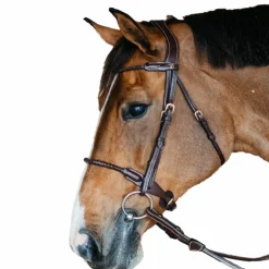 Dyon - Bridon muserolle tressée sous-barbe amovible cuir havane