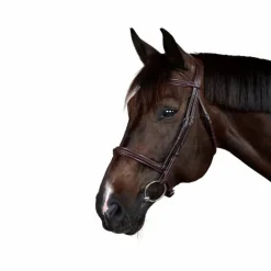 Dyon - Bridon New English Collection marron