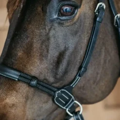 Dyon - Bridon sans mors Working by Dy'on noir