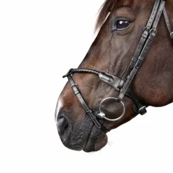 Dyon - Bridon tressé avec noseband amovible New English Collection noir