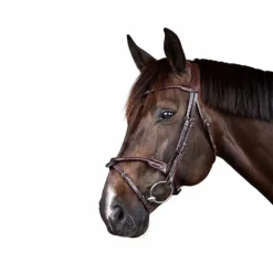 Dyon - Bridon tressé avec noseband amovible New English Collection marron