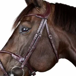 Dyon - Bridon tressé avec noseband amovible New English Collection marron