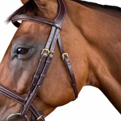 Dyon - Bridon tressé Dy'on Collection marron