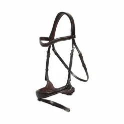 Dyon - Bridon Working Motion Working By Dyon havane