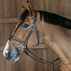 Dyon - Bridon Working Motion Working By Dyon havane